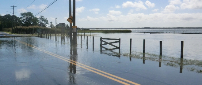 Flooding from Indian River Bay occurs on sections of River Road during extreme high tides and coastal storms. It’s a major issue in the Sussex County Planning & Zoning Commission’s denial of the Stllwater Harbor subdivision along the road. DNREC PHOTO